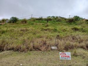 Terreno no Vitta Tolaini