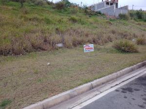 Terreno no Vitta Tolaini