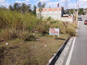 Terreno no Vitta Tolaini 